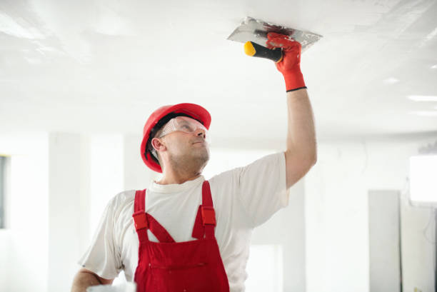 Best Residential Painting  in La Grange, KY